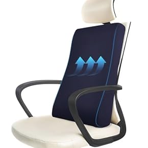 マニー　背当て付きシートクッション（ブルー） マニー背当て付きシートクッション（ブルー）