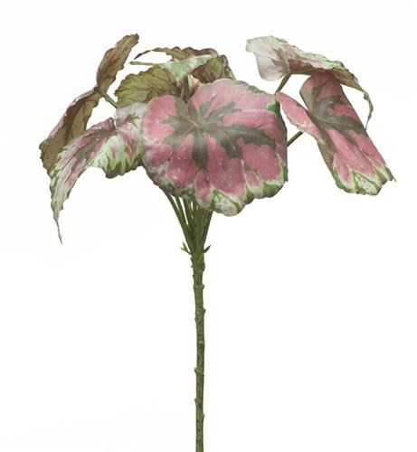 Melrose International Varigated Begonia Leaf Bush (Set of 2)