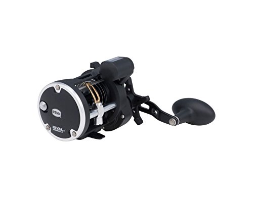 PENN Rival Level Wind moulinet à tambour tournant pour la pêche lourde en mer, pêche au jig, pêche sur épave, lieu… - Image 4