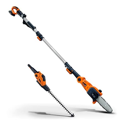 SuperHandy 2 in 1 Pole Saw 8-Inch and Hedge Trimmer 18-inch 20V 2Ah for Yard, Lawn, Garden and Landscaping