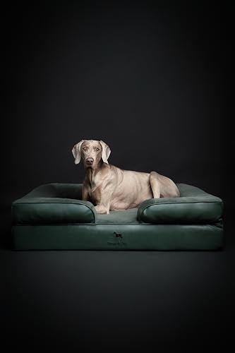Image of NOAH & PAW XL Dog Bed, 45x35x11 Inch, Orthopedic Large Dog Beds, Eggshell Memory Foam Infused with Cooling Gel, Inner Cover, Water Resistant, Machine Washable (Faux Leather)