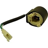 ecobike roller Ab 39.- Euro versenden wir versandkostenfrei innerhalb BRD als DHL Paket