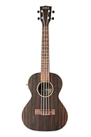 Striped ebony top Striped ebony earrings and fond - Mahogany neck Maple Binding - Rosewood Fingerboard and Bridge Satin finish - GraphTech NuBone eyebrow and seal Aquila Super Nylgut strings - electronics UK-300TR