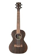 Striped ebony top Striped ebony earrings and fond - Mahogany neck Maple Binding - Rosewood Fingerboard and Bridge Satin finish - GraphTech NuBone eyebrow and seal Aquila Super Nylgut strings - electronics UK-300TR