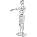 Placement précis des points de pression : ce modèle d’affichage des points d’acupuncture présente des configurations complètes, permettant aux utilisateurs de réaliser des techniques de massage précises à l’aide d’un outil pédagogique, que ce soit pour la pratique ou l’apprentissage. outil d’enseignement de la médecine chinoise