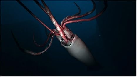 Amazon Aquanaut S Holiday 隠された記録 Ps3 ゲームソフト