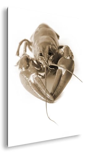 deyoli schwedische rote Krebse Format:90x60 cm Effekt:Sepia als Leinwandbild, Motiv fertig gerahmt auf Echtholzrahmen, Hochwertiger Digitaldruck mit Rahmen