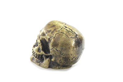 Amazon.co.jp: 頭蓋骨 ガイコツ スカル シフトノブ ジョッキーシフト