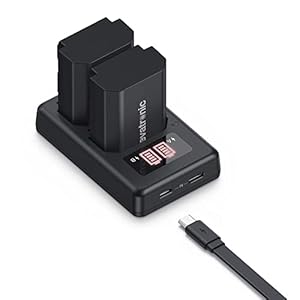 NP-FZ100 Kamera Akku Ladegerät Set, Evatronic 2er Pack 2040mAh Ersatz Akku Kit, USB Dual Slot Akku Ladegerät mit Typ-C und Micro-USB Anschlüssen für Sony A7III/A7R III/A9/A7R IV/A6600/Alpha 9/9R/A9R