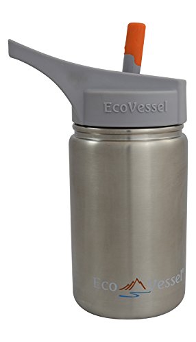 EcoVessel Scout Kids Stainless Steel Water Bottle with Sport Flip Spout and Silicone