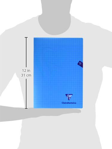 Clairefontaine 293161AMZ - Set mit 2 Heften Mimesys, 48 Blatt, DIN A4, 21 x 29,7cm, 90g, französische Lineatur, 1 Set, farbig sortiert