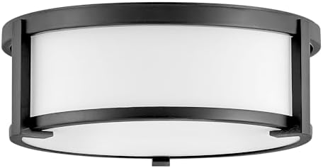 Hinkley Lowell Small Flush Mount Ceiling Light, Twist Lock System Keeps Fixture Flush with Ceiling, Damp-Rated for Bathrooms, Laundry Rooms, Black and Etched Opal Glass