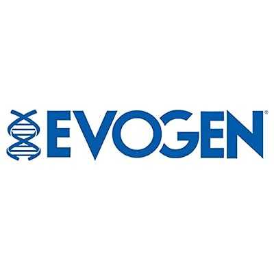 Evogen Brain Builder - Mind-Muscle Connection Amplifier | Boosts Focus, Concentration, Connection | Lions Mane, Bacopa Monnieri, Alpha-GPC | 90 Capsules