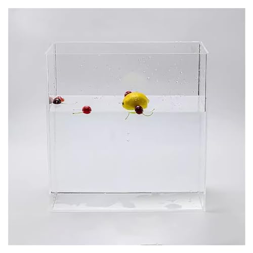 Vitrine en acrylique anti-fuite avec réservoir d'eau pour photo publicitaire