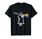 Raccoon Rainbow Prism Light Spectrum