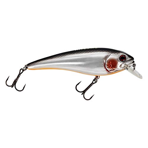 Westin Raw Bite 11cm 26g - Wobbler Floating, Farbe:Steel Sardine