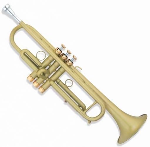 trąbka instrument Trąbka hiszpańska lakierowana w kolorze złotym w tonacji B z mosiężnym instrumentem dętym o płaskich ustach