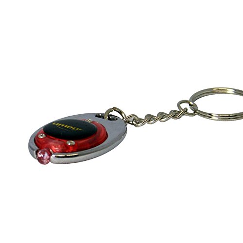 Preisvergleich Produktbild Omegon Astro-Flashlight