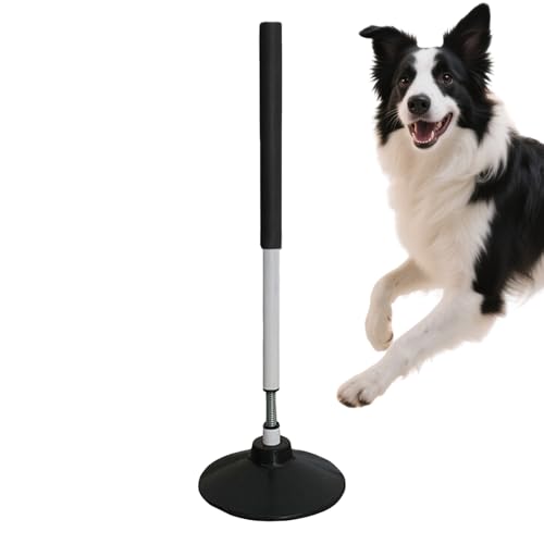 TbJ[ g[jO |[ - 61cm NCbN \tg  X|[c pi | Xs[hg[jO|[ TbJ[ANZT[ - tbg{[ oXPbg{[ n p