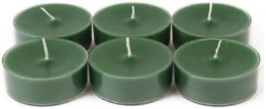 Zest Candle CTM-028_12 144-Piece Mega Oversized Tealight Candle, Hunter Green