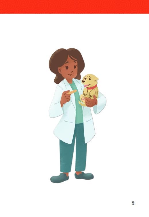 The Job of a Vet: Prek/K: Book 16 (Decodable Books: Read & Succeed, 16)
