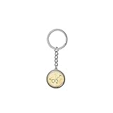 Paquete: bolsa de regalo Serotonin Molécula Llavero Serotonina Llavero Química Llavero Científico Llavero Ciencia