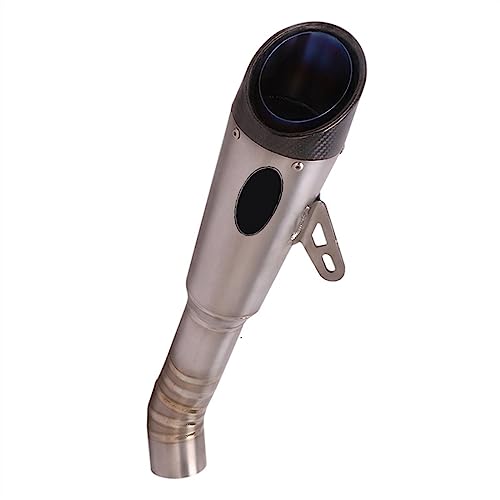 Silenciador de escape de titanio con doble orificio para Ducati Diavel 1200