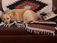 Review Image by swissmiss swissmiss