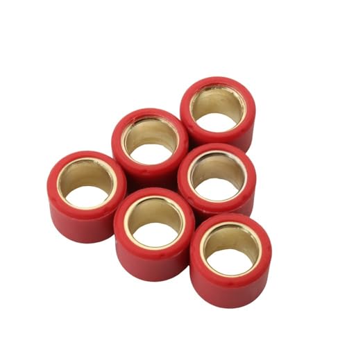 Galets de variateur 16x13 mm régularisant l'accélération du moteur SY 50