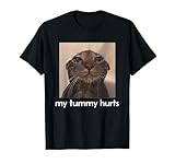 Mon ventre fait mal, mème drôle de chat T-Shirt