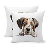 cachorros pointer madrid Tamaño: Tamaño aproximado: 55,88 x 55,88 cm (error de 1 a 2 cm).