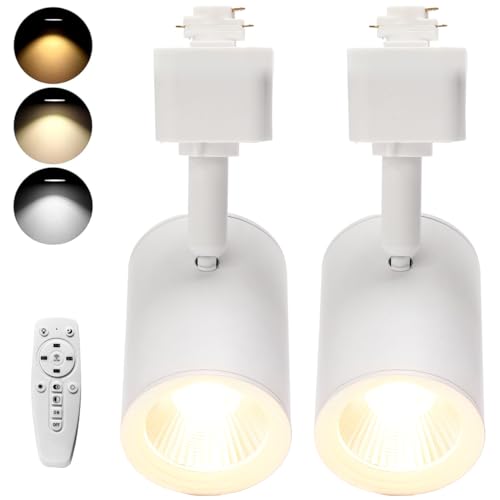 Lmaadri 12W Track Lighting Heads