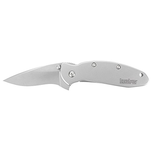 Kershaw Scallion Stainless Pocketknife, 2.4" 420Hc Steel Drop Point Blade, Assisted Open With Flipper, Liner And Tip Lock, Single-Position Pocketclip #TOP1