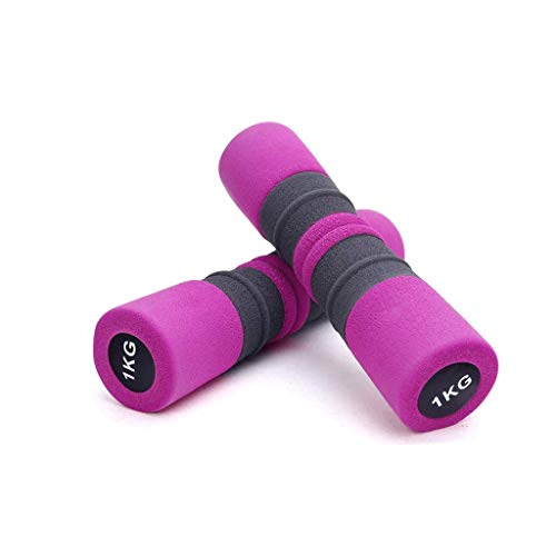 Haltère réglable dumbell 1 kg pour le sport au féminin efficace