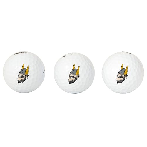 Desert Cactus University of Idaho Golf Balls 3 Pack – UI Vandals Full Color Three – Officially Licensed Sport Team Accessory (Design C)