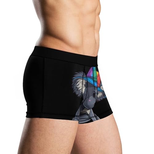 LGBT Koala Bear Proud Mens Boxer Brief Funny Underwear Trunks Breathable Soft Printed Shorts4