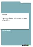 Grin Verlag