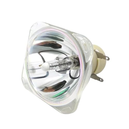 Ampoule NP28LP 100013541 pour projecteurs NEC M302WS M322W M322X