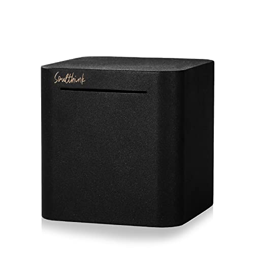 SoulThink Piggy Bank for Adults - Savings Box for Cash Saving , Stainless Steel Savings Bank for Adults , Large Piggy Bank Must Break to Open ( 5.9 inch )