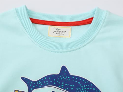 Boys Sweatshirts Long Sleeve Sweatshirts T-shirts Crew Neck Cotton Casual Sweatshirts Cartoon Tops for Boys-2464