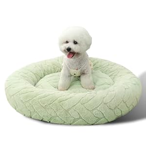 Dog Bed Cat Beds Dog Bed Medium Size Washable Dog Bed, Small Dog Bed Jacquard Fluffy Plush Anti Slip Bottom,23 Inch, Green