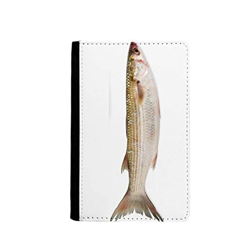 Boîte Couverture Dossier Poisson de mer fraîche Passeport Sac de Voyage compact et robuste
