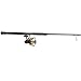 Penn SSVI8500701H Spinfisher VI 8500 combo, IXP5 sealed body reel