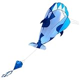 Les cerfs-volants Easy Flyer permettent à l'enfant d'apprendre l'influence du vent de manière amusante pour améliorer sa capacité de coordination