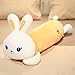 daweiwei Linda Princesa Conejo de Felpa Almohada Larga Suave Peluche Conejito muñeca Oficina Siesta cojín para Dormir niños niñas Amantes Regalos 90cm D
