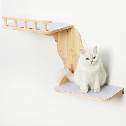 Wall Mounted Cat Shelves for Inside,2-Levels Wall Perch with Scratching Mat,Solid Pine Wood Floating Furniture for Climb,Lounge and Sleep (Left) Cover