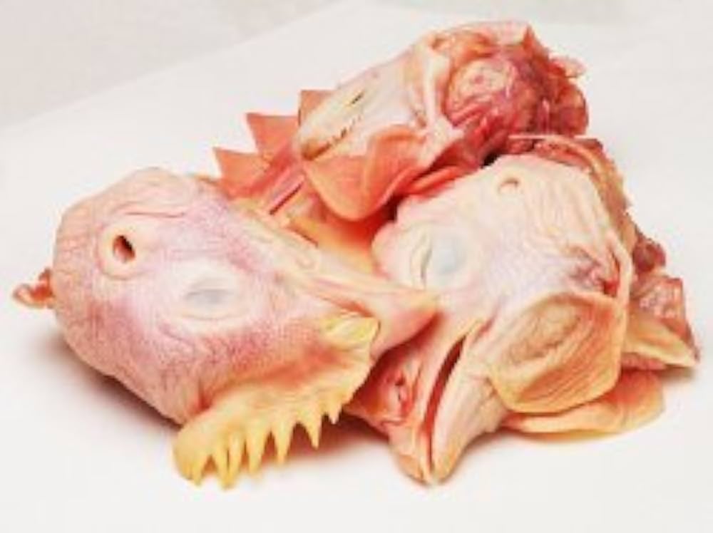 LR_d 鶏冠 牛肺 Amazon.co.jp: (10kg) 国産若鶏の鶏がら 鶏頭 【鶏がら】【冷蔵