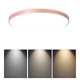 FDOIUTU Lamparas de Techo 40W,para Dormitorio Cocina Salon Comedor Pasillo (rosa-40W)