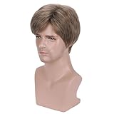 BERON Men Wigs Short Straight Heat Resistant Synthetic Wig Come with Wig Cap (Mixed Ash Blonde)