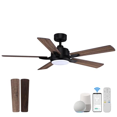 Hoenofly 52” Smart Ceiling Fans with Lights Remote,Quiet DC Motor,Outdoor